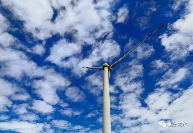 17.jpeg